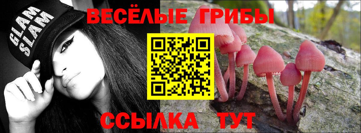 Псилоцибиновые грибы GOLDEN TEACHER Донской